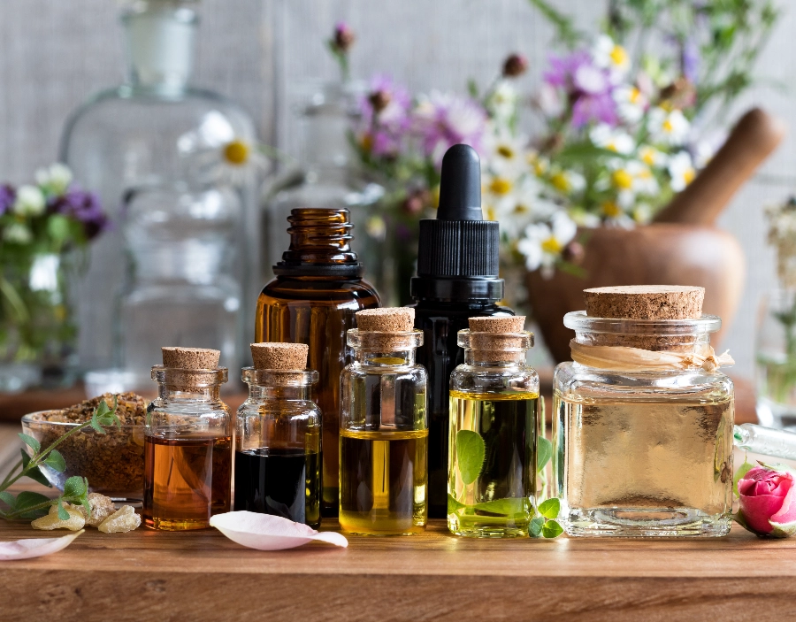 Image of tec nut single websites demo Essential Oils Need a new company website?: how to startup a business, make business website, starting a business, websites for start-ups, great websites, web building sites, business on web, sample website, building a small business website, website builder, WordPress